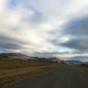 Meet your Posher, Julian